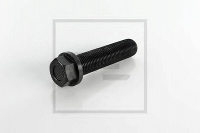 PE AUTOMOTIVE 01008100a -  Болт крепления крышки шатуна